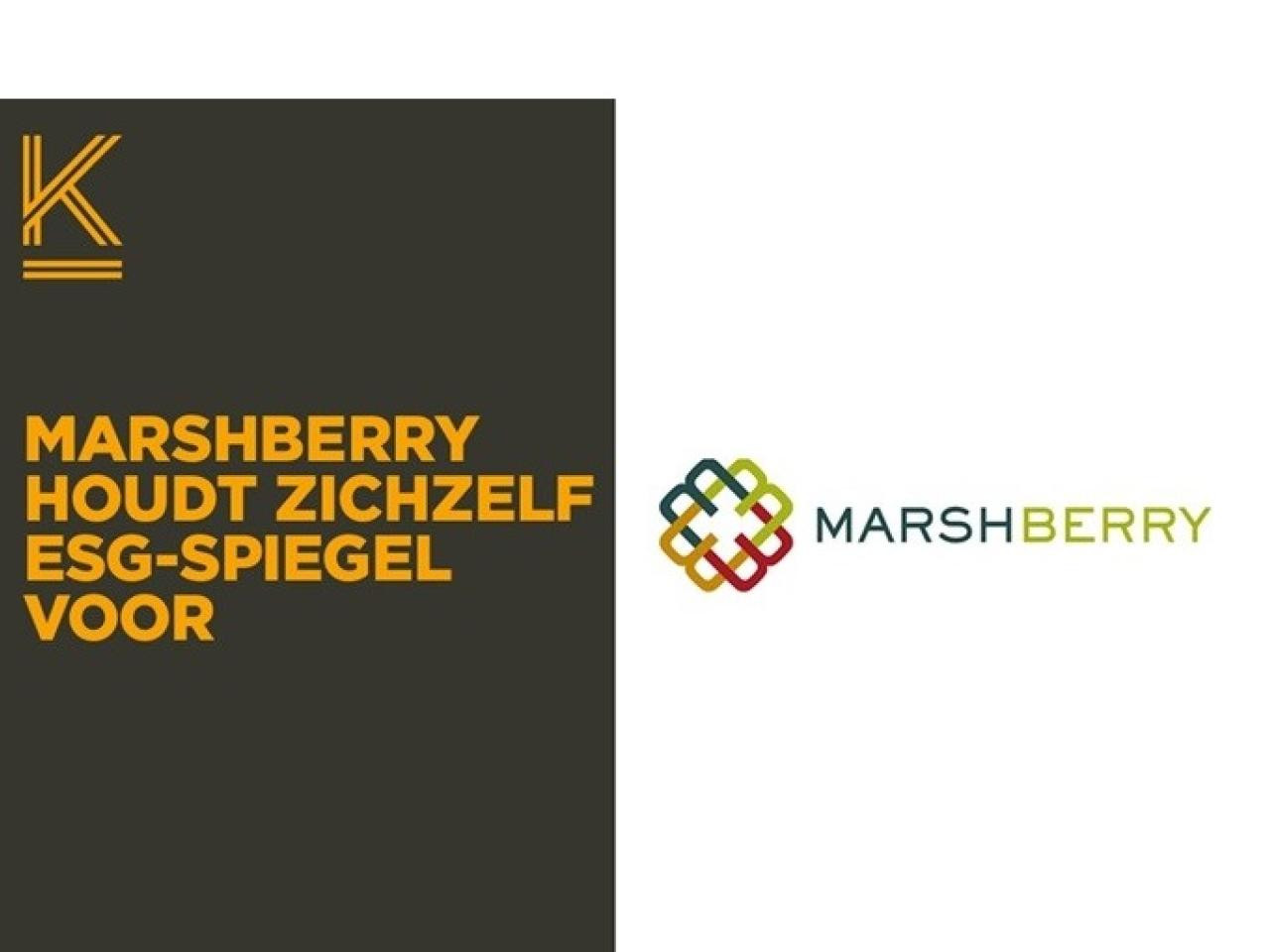 marshberry_1[1].jpeg